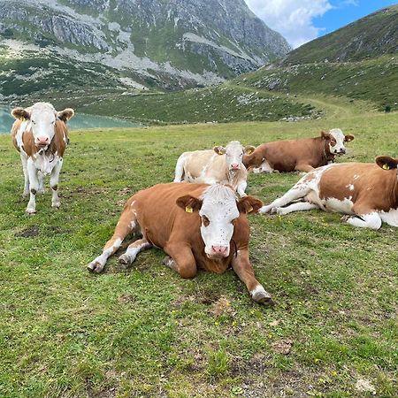 Ferienhof Bichlhof Arzl im Pitztal Chambre photo